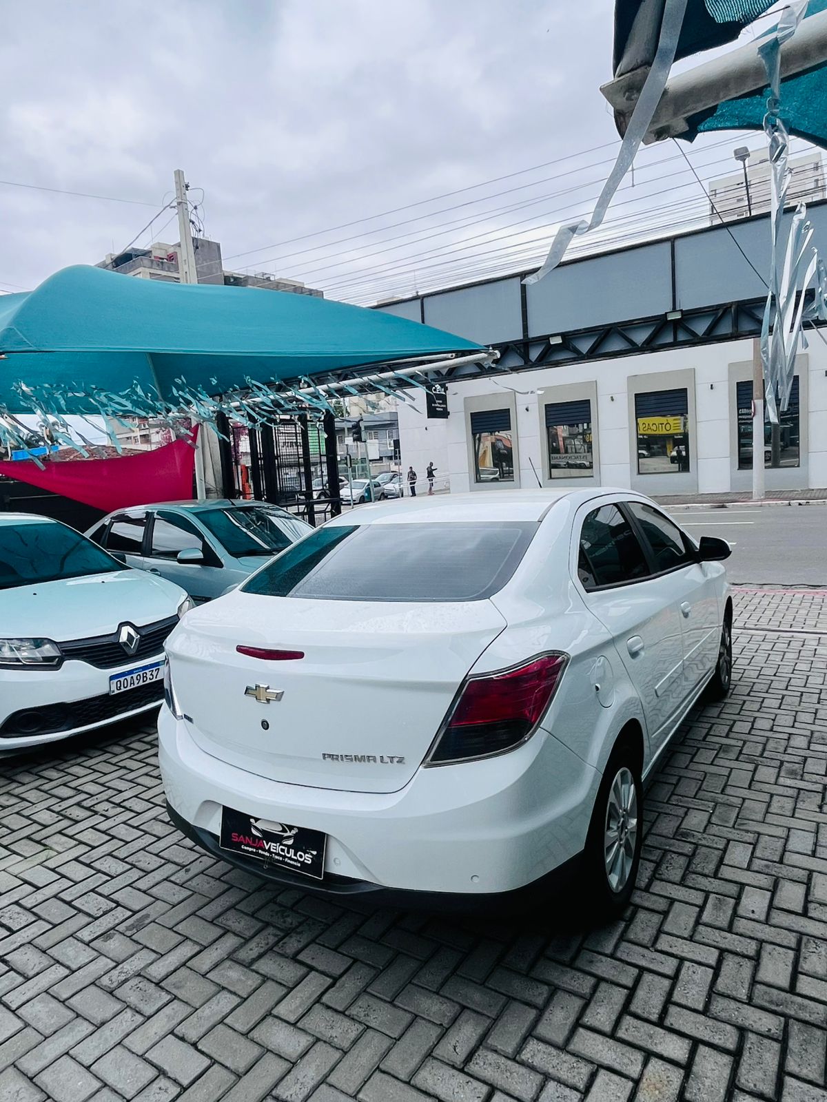 WhatsApp Image 2026-02-03 at 12.42.11 (1)